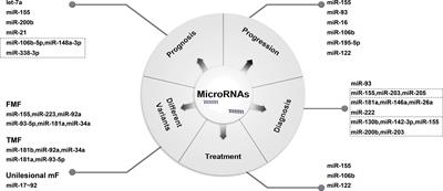 The Role of microRNA in Pathogenesis, Diagnosis, Different Variants, Treatment and Prognosis of Mycosis Fungoides